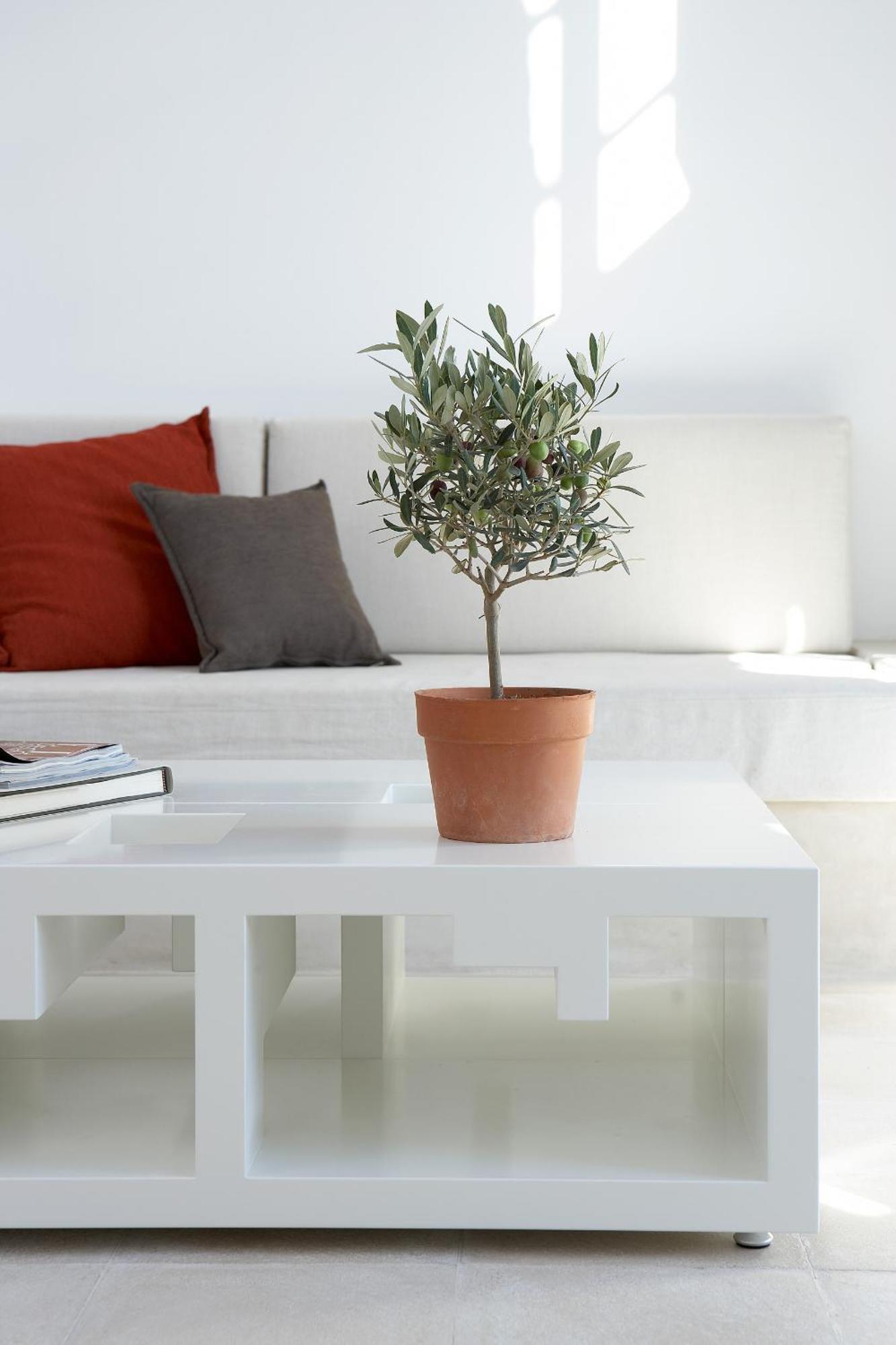 Villa Fabrica Santorini Pýrgos Eksteriør bilde
